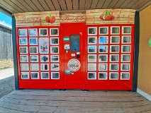 93: 120220627_153746_1920