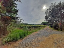 19: 120221003_111354_1920