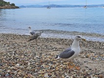 38: 120221003_130026_1920