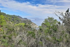 47: 120221003_135614_1920