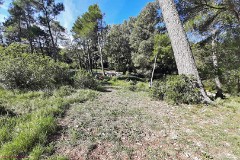 16: 120220929_121746_1920