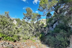 17: 120220929_123342_1920