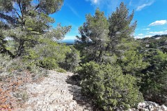 26: 120220929_124614_1920