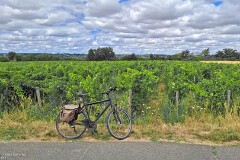 29: 120250717_140713_1920_s