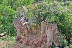 33: 120250717_142804_1920_s