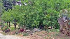 34: 120250717_142810_1920_s