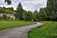 11: 1D52_2176_1920_s