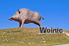 3: 120250621_170829_1920