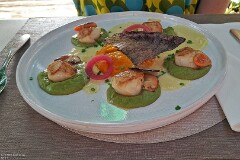 5: 120250622_201514_1920_s