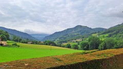 5: 120250626_102924_1920_s