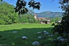 24: 1D52_1153_1920_s