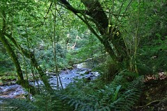 25: 1D52_1160_1920_s