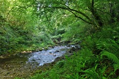 26: 1D52_1162_1920_s