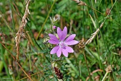 39: 1D52_1220_1920_s