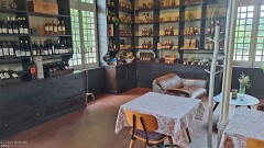 16: 120250712_133441_1920_s