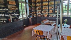 17: 120250712_133441b_1920_s