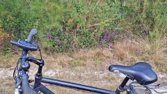 23: 120250712_144236_1920_s