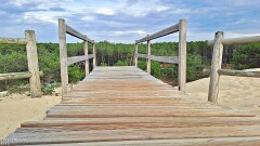 27: 120250712_191919_1920_s