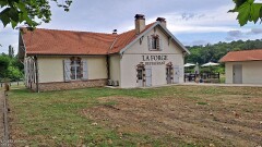 31: 120250713_190756_1920_s