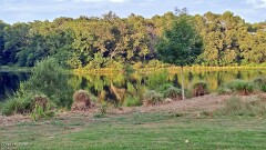 37: 120250713_203759_1920_s