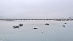 22: 120250630_180925_1920_s