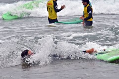 11: 1D52_1392_1920_s