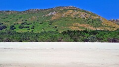 8: 120250704_165415_1920_s