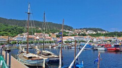 29: 120250705_125938_1920_s