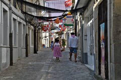 19: 1D52_1761_1920_s