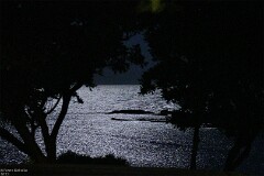 31: 1D52_1795_1920_s