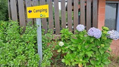 1: 120250701_134928_1920_s