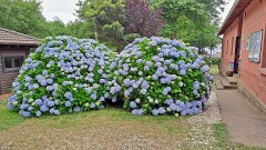 2: 120250701_135045_1920_s