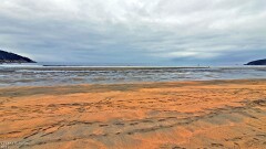 12: 120250701_153612_1920_s