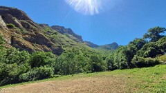 20: 120250708_125239_1920_s