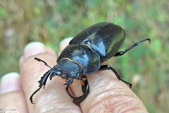 27: 120250709_120636_1920_s