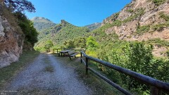 42: 120250709_132107_1920_s