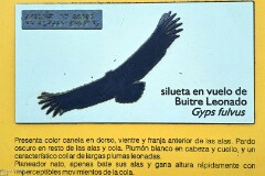 35: 120250709_224412_1920_s