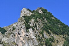 25: 1D52_1881_1920_s