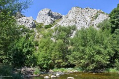 67: 1D52_2043_1920_s