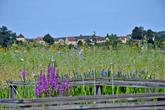 14: 1D52_0834_1920_s