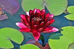 16: 1D52_0838_1920_s