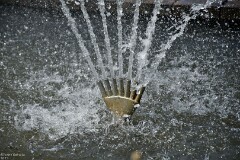 28: 1D52_0917_1920_s