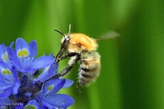 37: 1D52_0979_1400_s