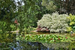 45: 1D52_1024_1920_s