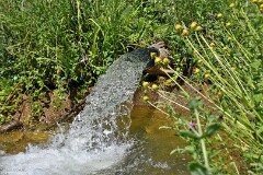 48: 1D52_1032_1920_s