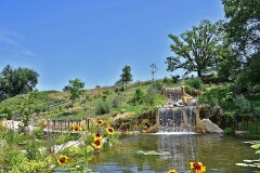 51: 1D52_1036_1920_s