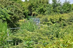 61: 1D52_1052_1920_s