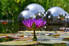 68: 1D52_1075_1920_s