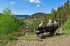 Harz Wildemann 2022_05