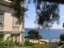 13: 1_DSC00878_lores